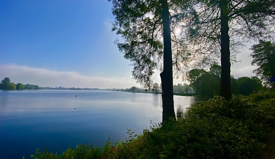 Scooter reparatie Bleiswijk